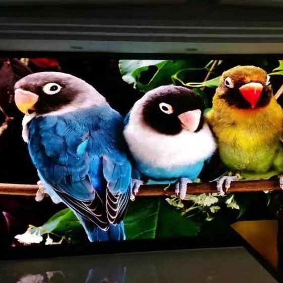 Ultra Thin Led Video Wall Display Full Color Video Billboards P1.667 P1.25 Indoor RGB